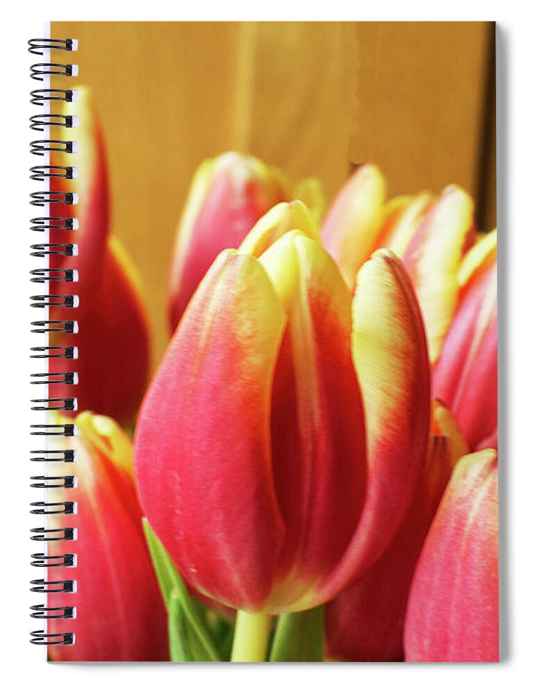 Tulips Spiral Notebook featuring the photograph Tulips by Pics By Tony