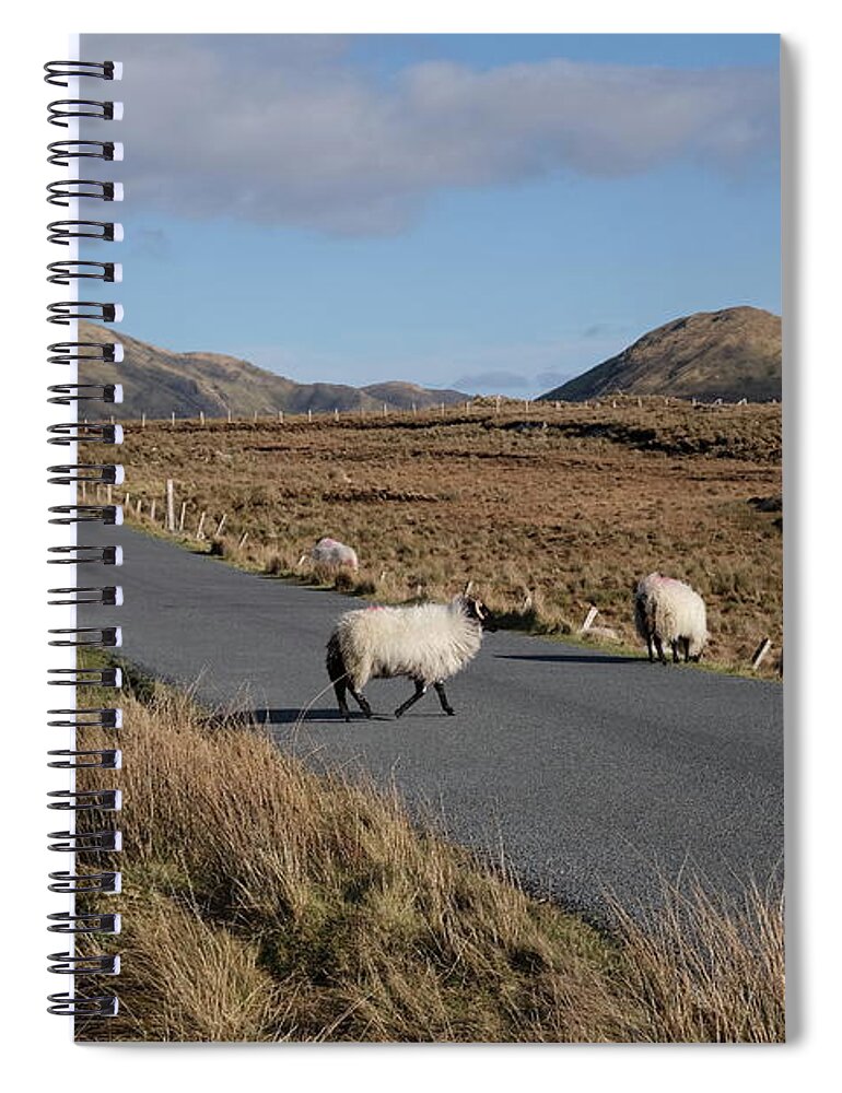 Connemara Ireland Galway Isolation Sheep Sky Roadside Mountains Photography Prints Landscape Spiral Notebook featuring the photograph Tully road Connemara by Peter Skelton