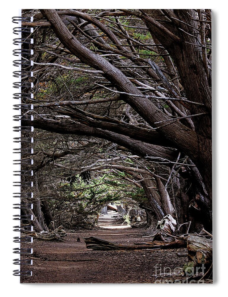 California Spiral Notebook featuring the photograph Tunnel of Tranquility by Natural Focal Point Photography