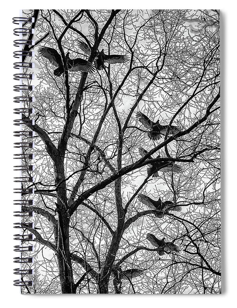 Birds Spiral Notebook featuring the photograph Turkey Vultures Photography by Louis Dallara