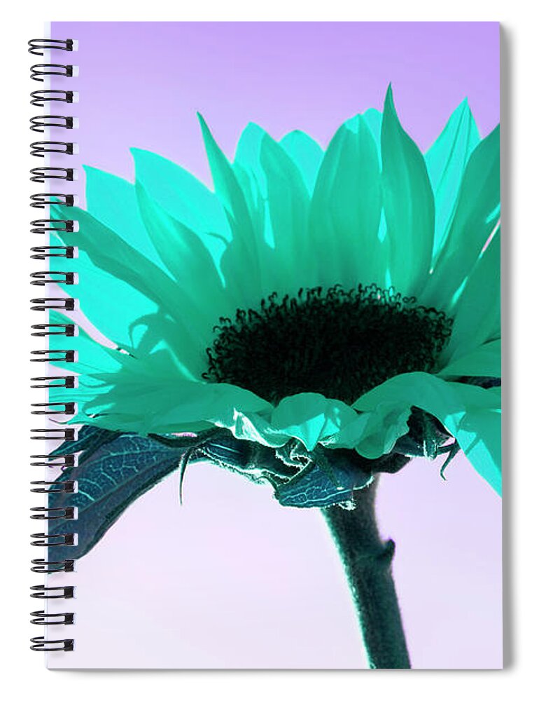 Floral Spiral Notebook featuring the photograph Turquoise Sunflower ART by Renee Spade Photography