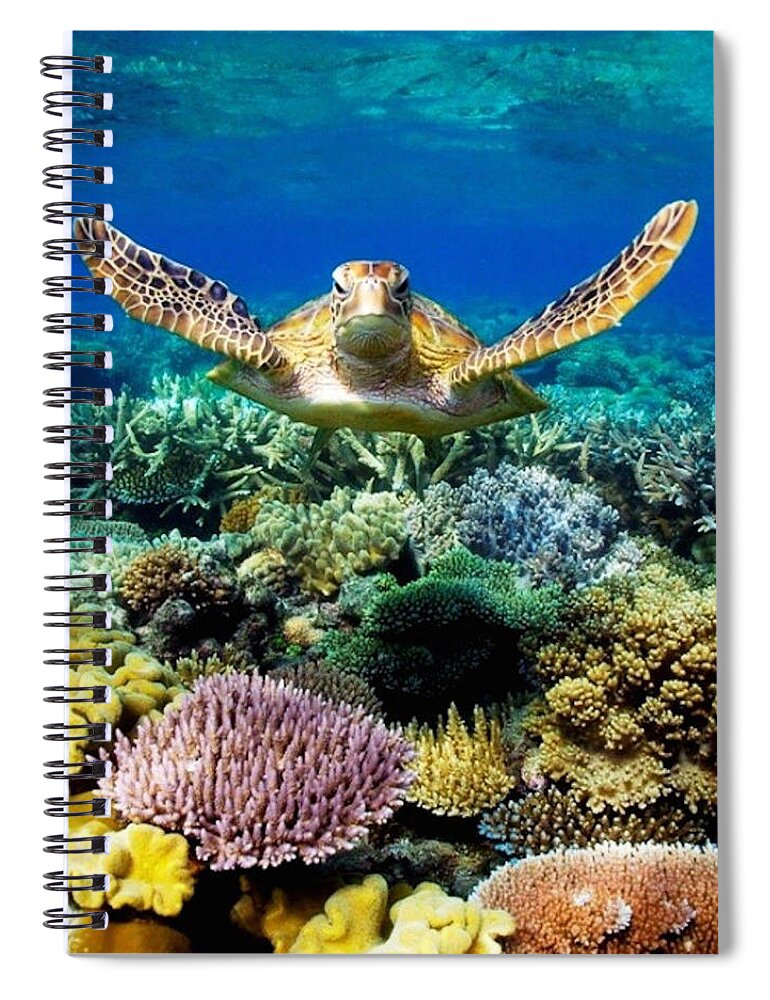 Photo Spiral Notebook featuring the photograph Turtle Gliding Over Great Barrier Reef by World Art Collective