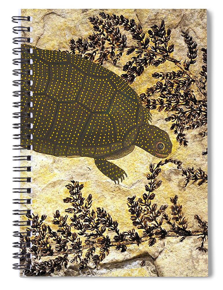 Turtle Spiral Notebook featuring the mixed media Turtle in Montsechia by Lorena Cassady