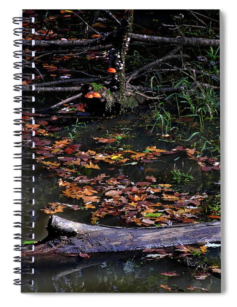 Animals Spiral Notebook featuring the photograph Turtles on a Log by George Taylor