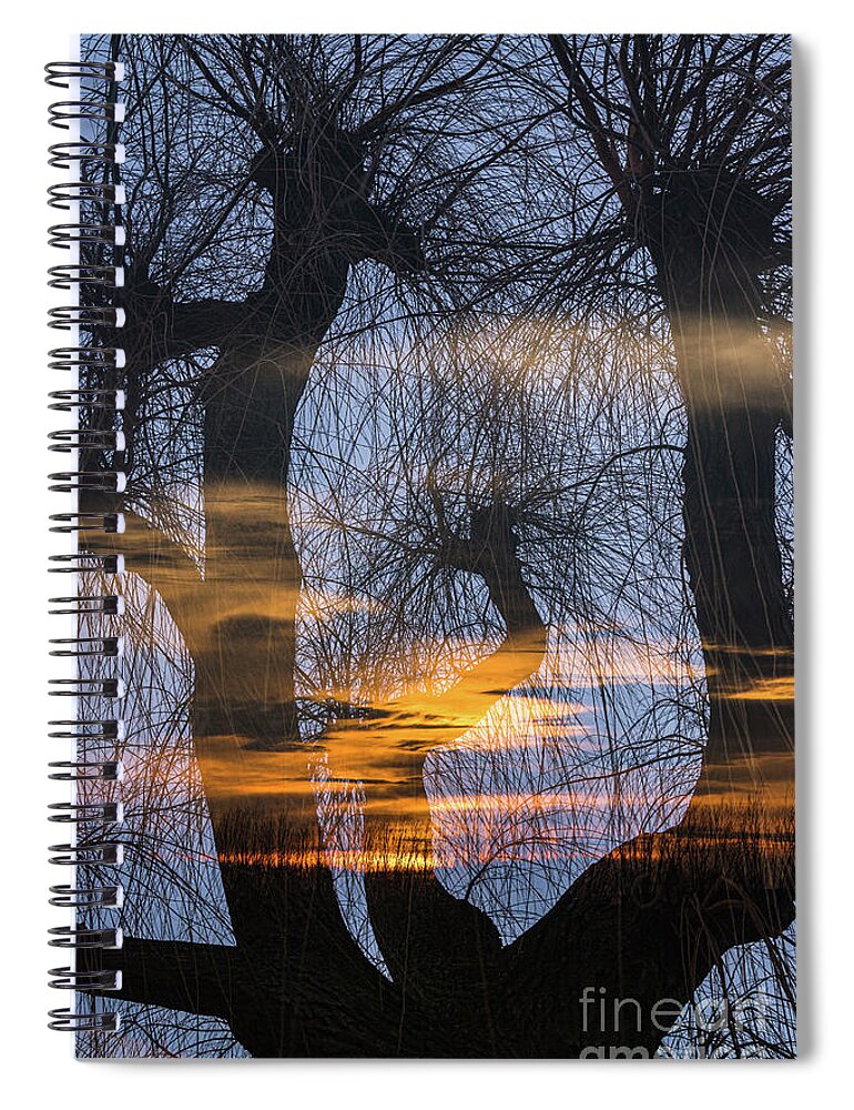 Netherlands Spiral Notebook featuring the photograph Twilight zone in the magic forest by Casper Cammeraat