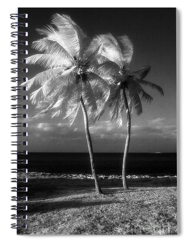 Palm Trees Spiral Notebook featuring the photograph Twin Palms by Richard Rizzo