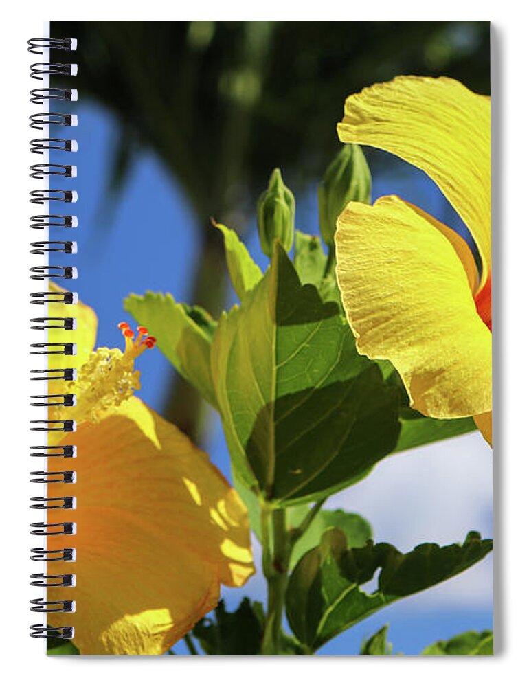 Flowers Spiral Notebook featuring the pyrography Twins by Tony Spencer