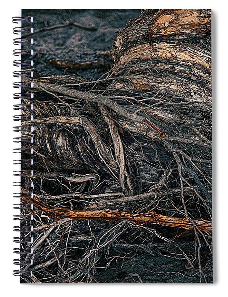 Australia Spiral Notebook featuring the photograph Twisted by Jay Heifetz