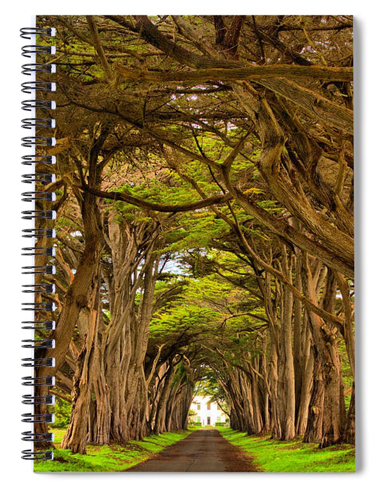 Point Reyes Spiral Notebook featuring the photograph Twisted Point Reyes Cypress Tunnel by Adam Jewell