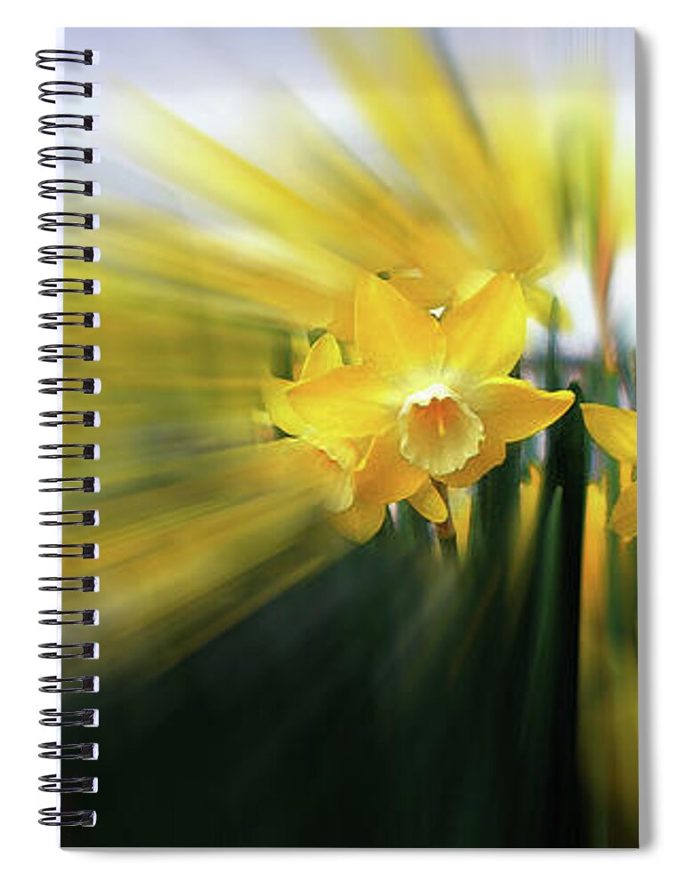 Daffodils Spiral Notebook featuring the photograph Two Hearts Spreading Light by Wayne King