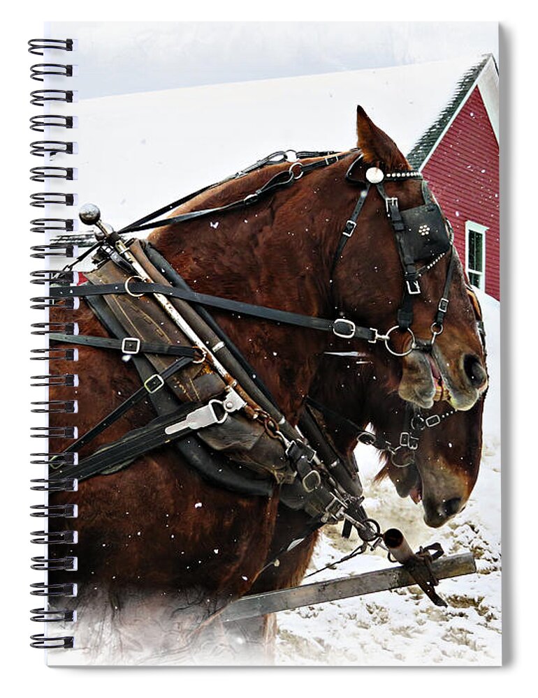 Winter Spiral Notebook featuring the photograph Two Horses Snow Falling by Russel Considine