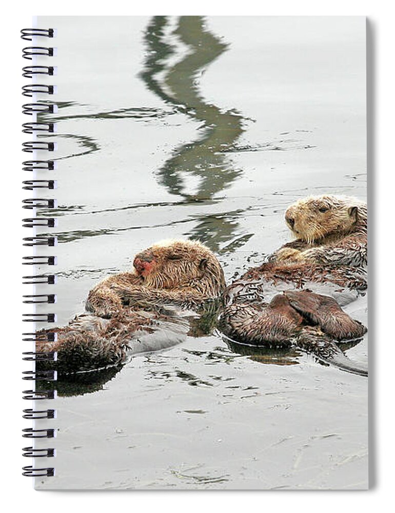 Sea Otters Spiral Notebook featuring the photograph Two Otters by Michael Rock