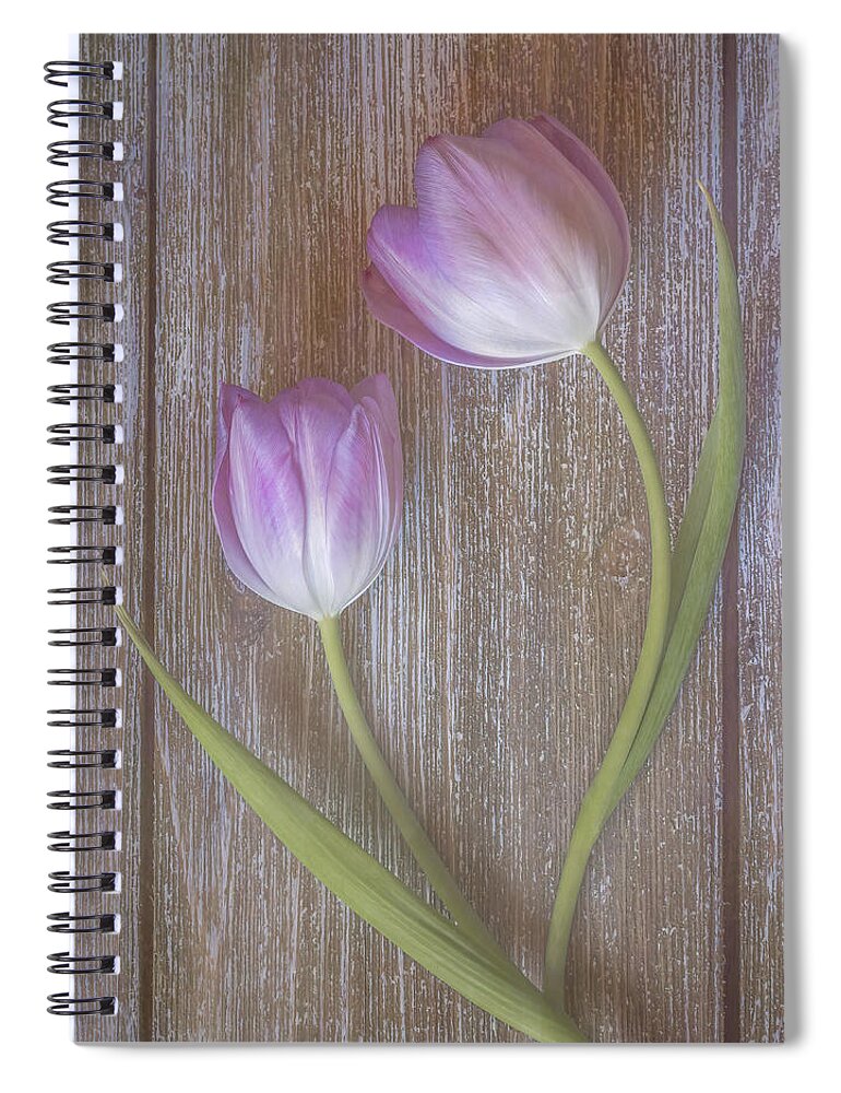 Pink Tulips Spiral Notebook featuring the photograph Two pink tulips by Sylvia Goldkranz