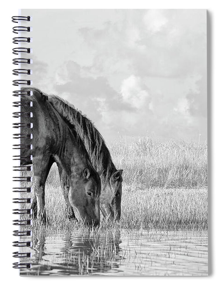 Wild Horses Of The Outer Banks Spiral Notebook featuring the photograph Two Wild Horses of the Outer Banks by Bob Decker