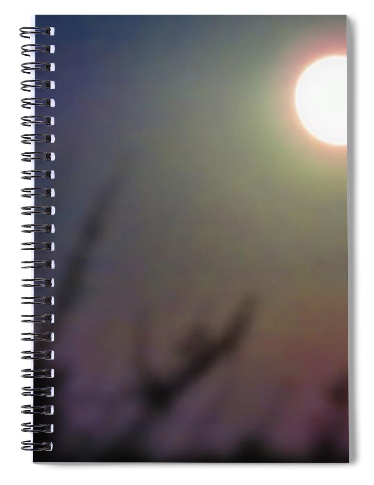 Arien Spiral Notebook featuring the photograph Under a Full Moon in Aries by Judy Kennedy