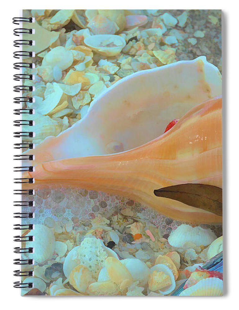 Conch Shell Spiral Notebook featuring the photograph Underwater by Alison Belsan Horton