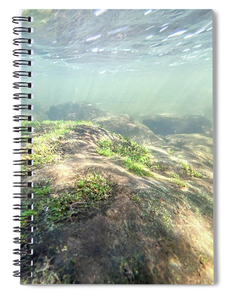 Algae Spiral Notebook featuring the photograph Underwater Landscape with Algae - Delaware River by Amelia Pearn