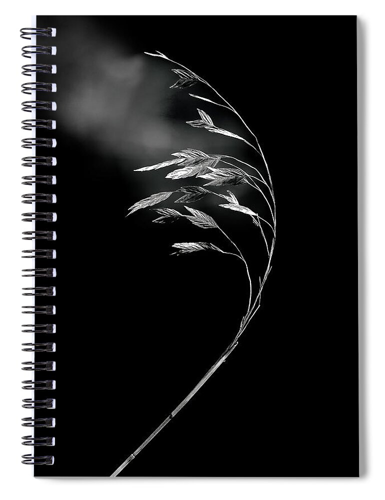 Published Spiral Notebook featuring the photograph Unusual by Enrique Pelaez