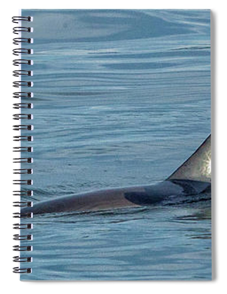 Florida Spiral Notebook featuring the photograph Up Close by Phil Marty