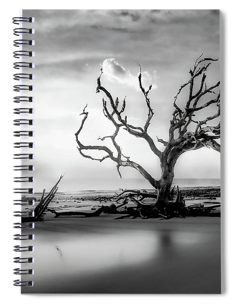 Jekyll Island Spiral Notebook featuring the photograph Up in the Morning by Phil Cappiali Jr