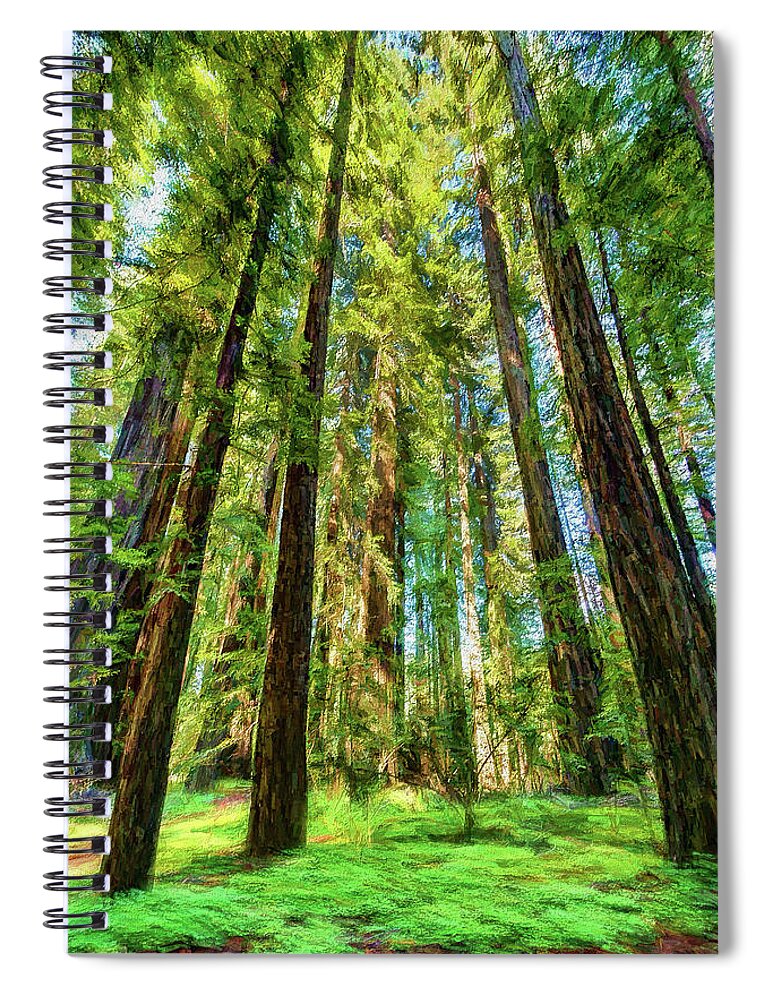 California Spiral Notebook featuring the photograph Up Into the California Redwoods ap 120 by Dan Carmichael