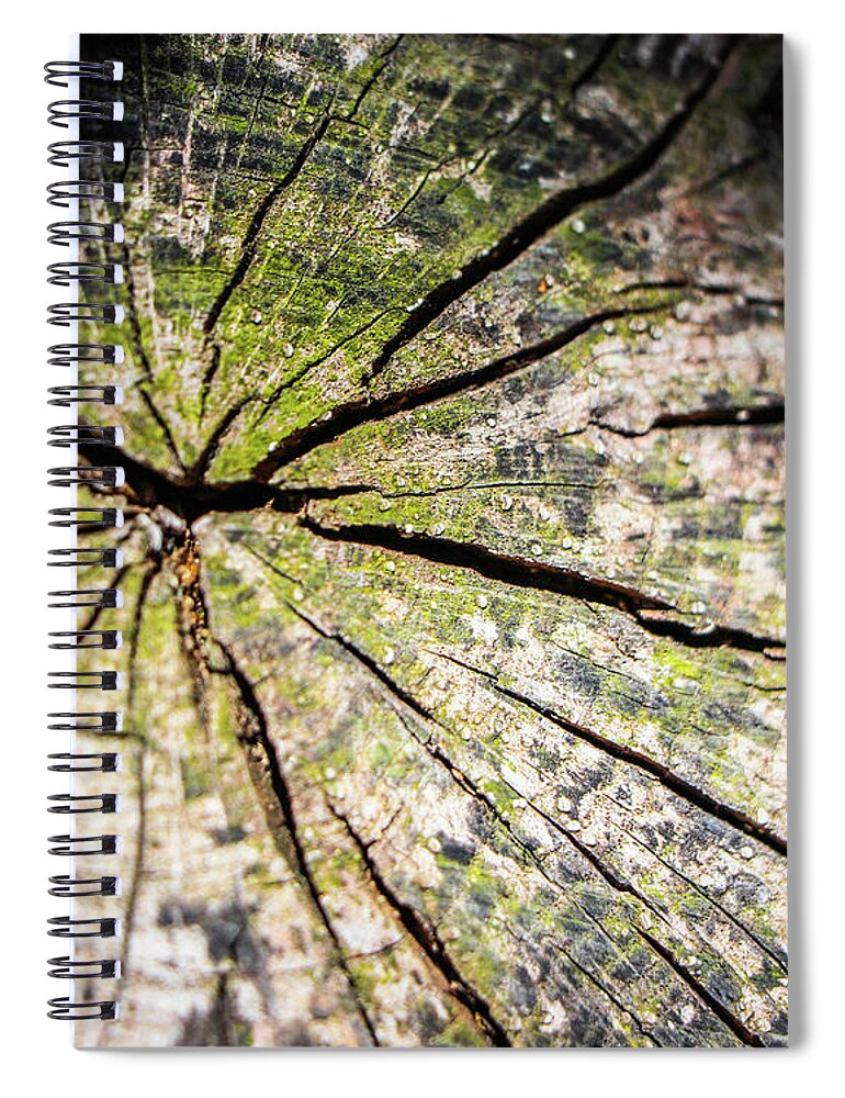 2019 Spiral Notebook featuring the photograph Up or Down by Gerri Bigler
