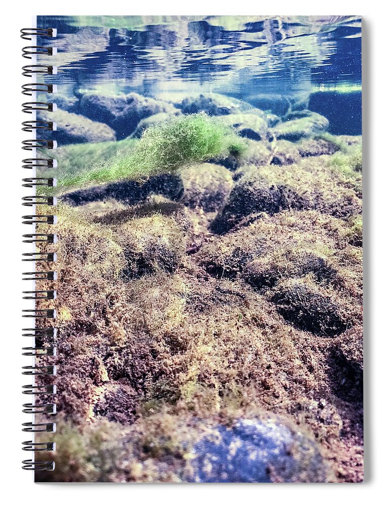 Delaware River Spiral Notebook featuring the photograph Upper Delaware River - Underwater Photography by Amelia Pearn