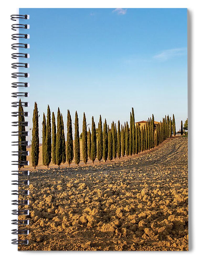 Orcia Spiral Notebook featuring the pyrography Val d'Orcia, famous group of cypress trees in Tuscany, Italy by Eleni Kouri