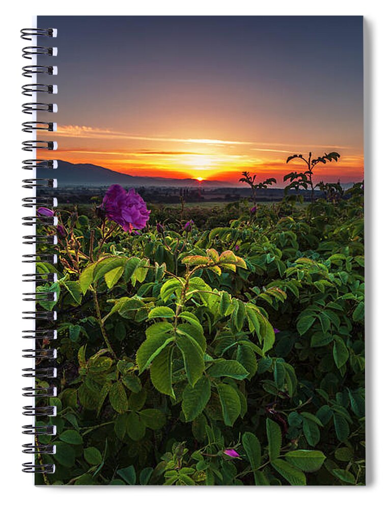 Bulgaria Spiral Notebook featuring the photograph Valley of Roses by Evgeni Dinev