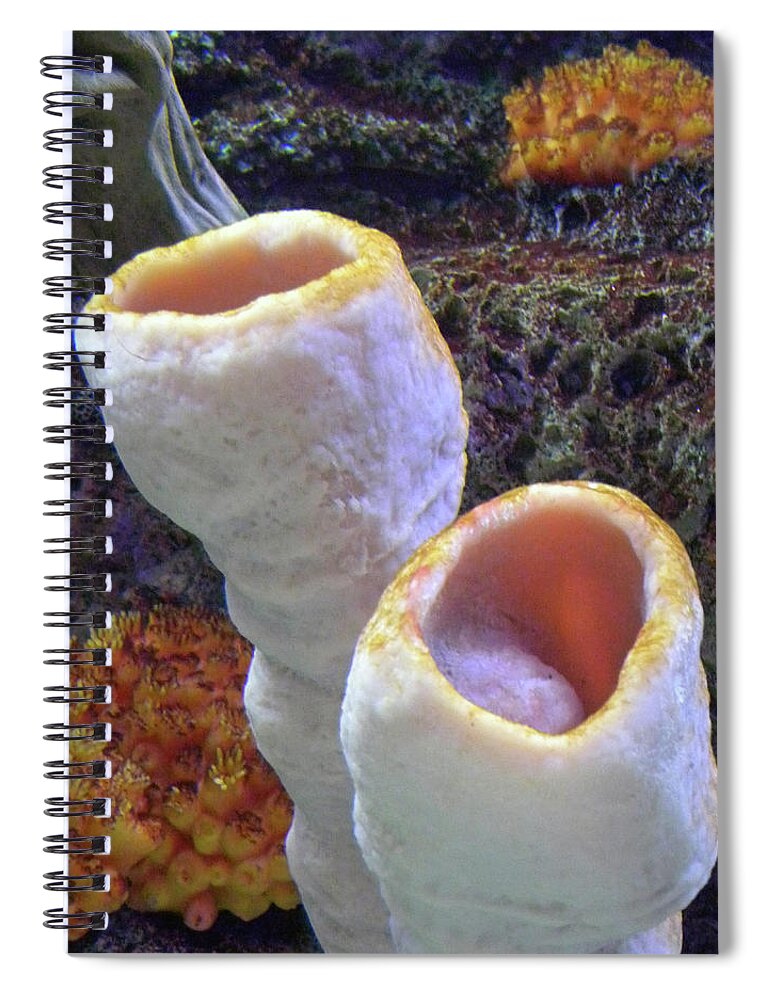 Shedd Acquarium Exhibit Spiral Notebook featuring the photograph Van Goghs Seascape by Kerry Obrist