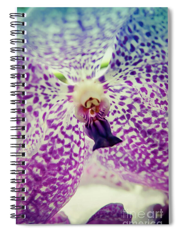 Singapore Spiral Notebook featuring the photograph Vanda Orchid in Blue by Tanya Owens