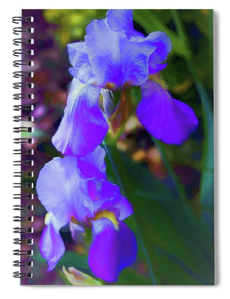 Irises Spiral Notebook featuring the photograph Variegated Sweet Iris by Ola Allen