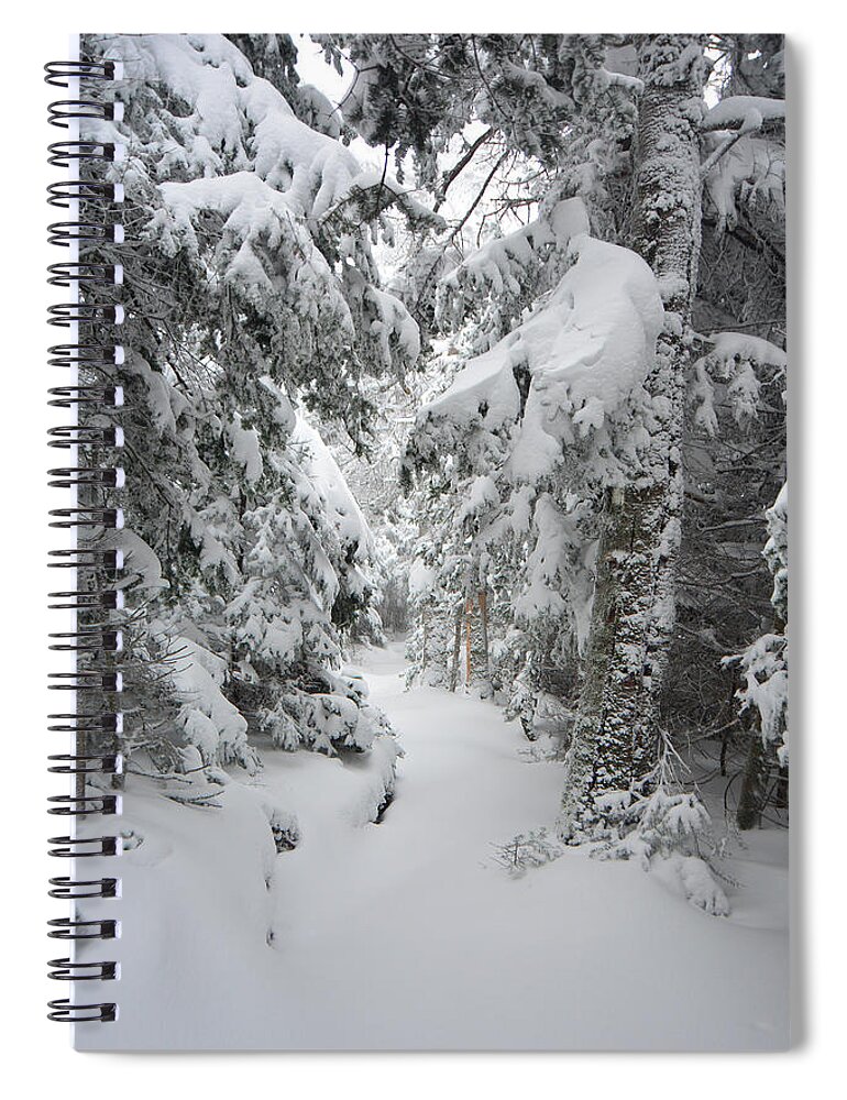 Vermont Appalachian Trail Just South Of Summit Of Stratton Mountain Spiral Notebook featuring the photograph Vermont Appalachian Trail Just South of Summit of Stratton Mountain by Raymond Salani III