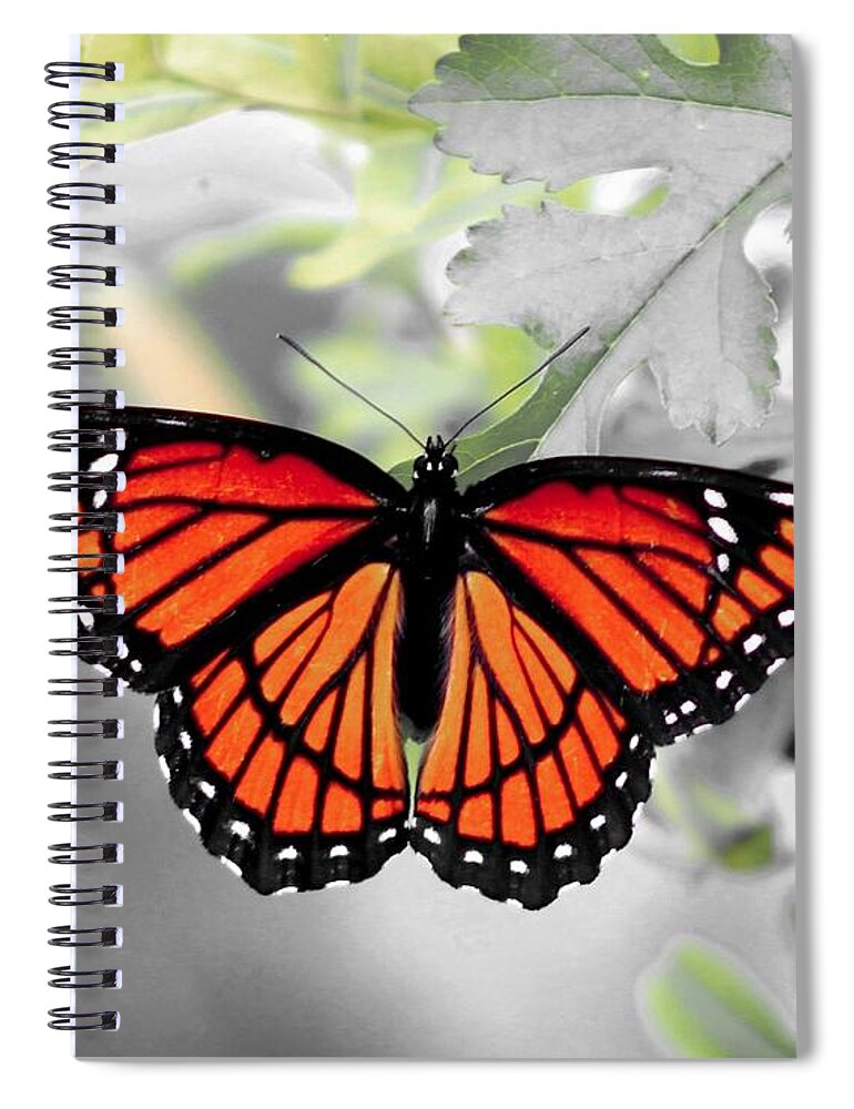 Viceroy Spiral Notebook featuring the photograph Viceroy Butterfly by Christopher Reed