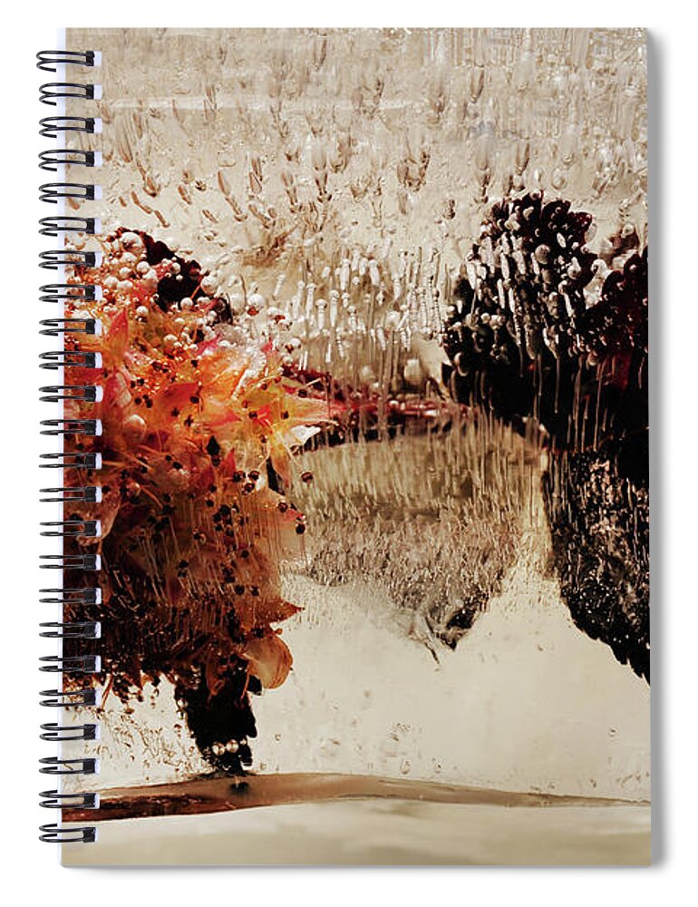 Abstract Spiral Notebook featuring the photograph Victory by Randi Grace Nilsberg