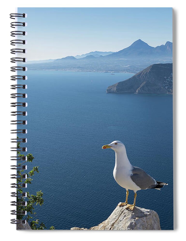 Seagull Spiral Notebook featuring the photograph View of the Mediterranean Sea and towards Benidorm by Adriana Mueller