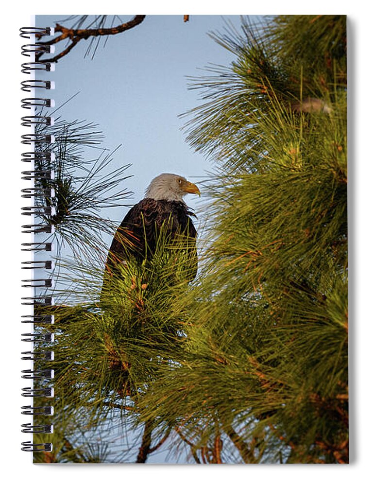 Bird Spiral Notebook featuring the photograph Viewing Sunset by Les Greenwood