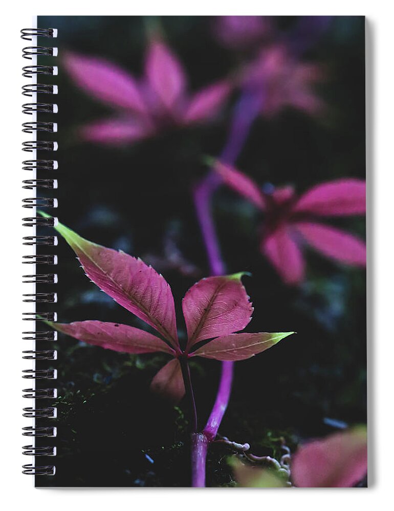 Mountain Spiral Notebook featuring the photograph Vine Vibes by Go and Flow Photos