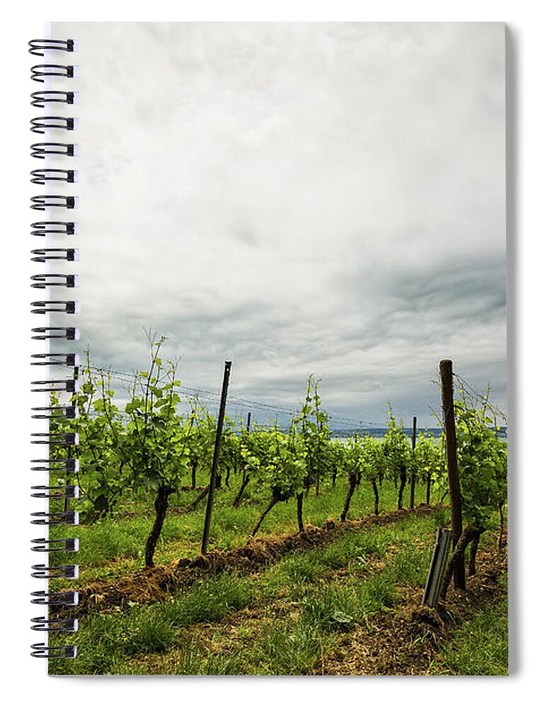 Vineyard Spiral Notebook featuring the photograph Vineyard at the Lake of Constance by Eva Lechner