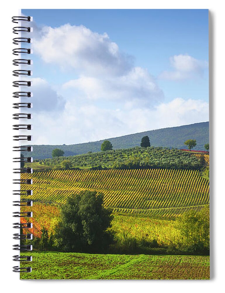 Vineyard Spiral Notebook featuring the photograph Vineyards and Trees at the top of the Hill. Chianti by Stefano Orazzini