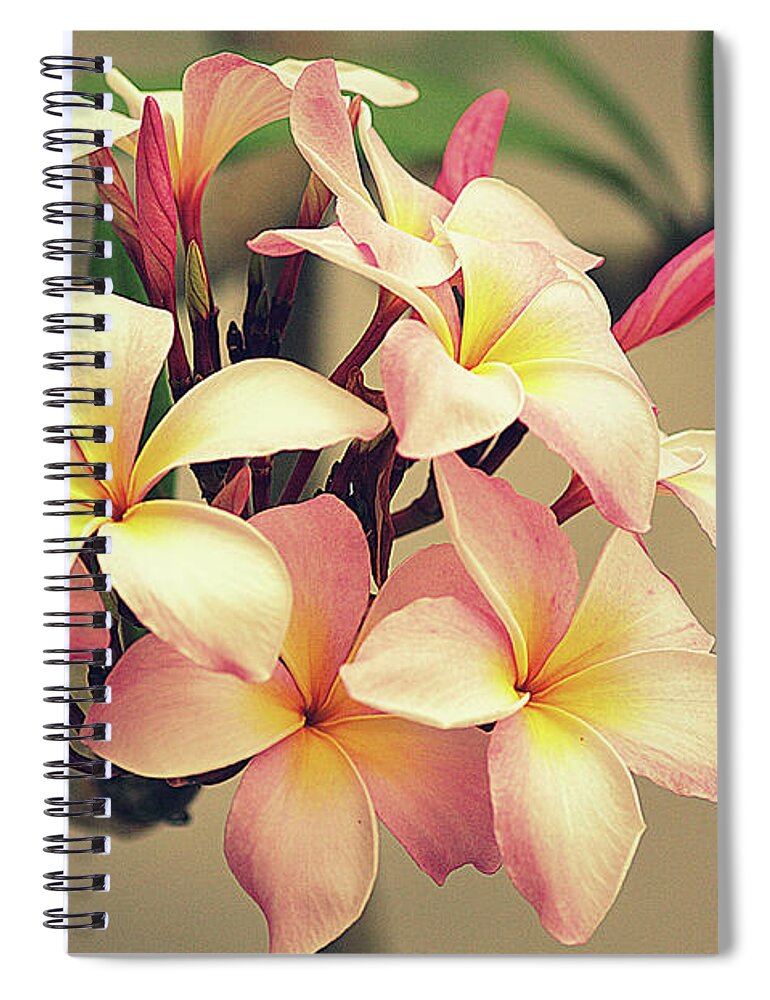 Plumeria Spiral Notebook featuring the photograph Vintage Florida by Hilda Wagner