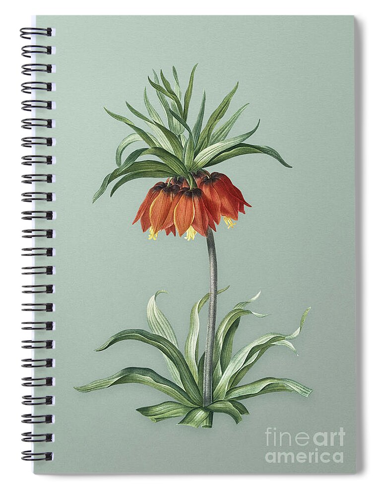Vintage Spiral Notebook featuring the mixed media Vintage Fritillaries Botanical Art on Mint Green n.0519 by Holy Rock Design