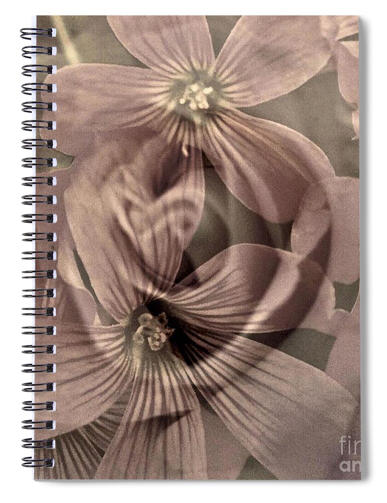 Sepia Spiral Notebook featuring the digital art Vintage Rose and Clover by Glenn Hernandez