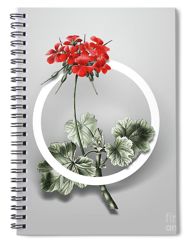 Vintage Spiral Notebook featuring the painting Vintage Scarlet Geranium Minimalist Floral Geometric Circle Art N.665 by Holy Rock Design