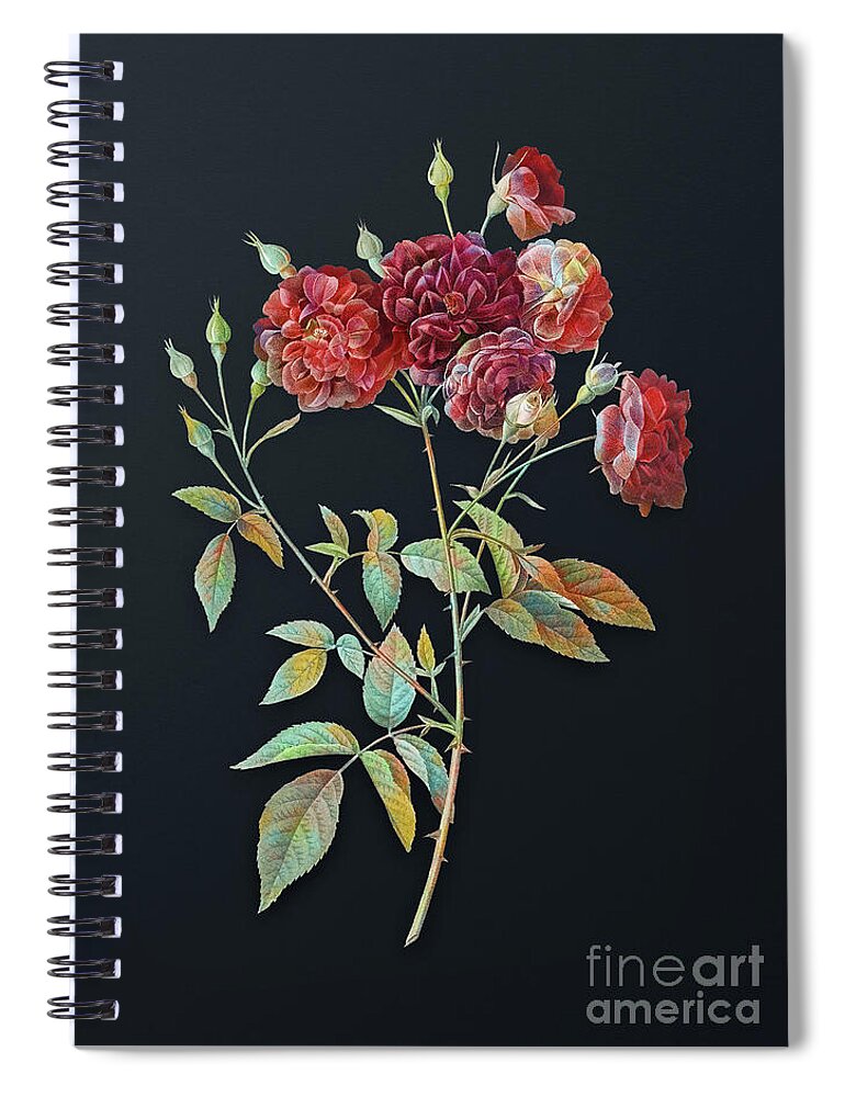 Vintage Spiral Notebook featuring the mixed media Vintage Ternaux Rose Bloom Botanical Art on Dark Steel Gray n.0748 by Holy Rock Design