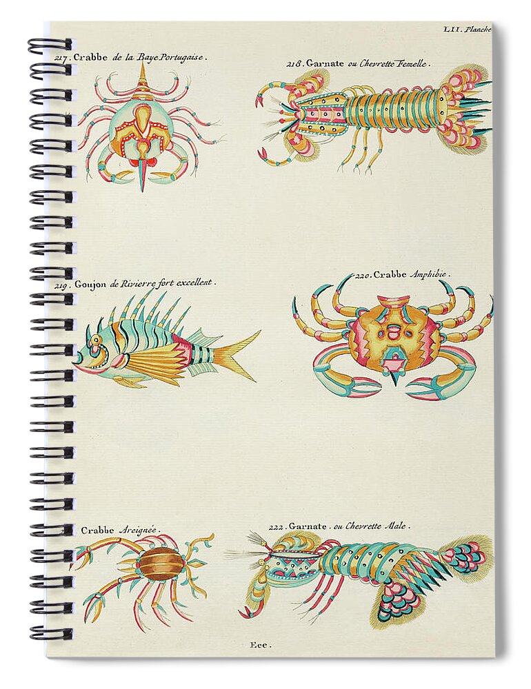 Fish Spiral Notebook featuring the digital art Vintage, Whimsical Fish and Marine Life Illustration by Louis Renard - Crabbe, Goujon, Garnate by Louis Renard
