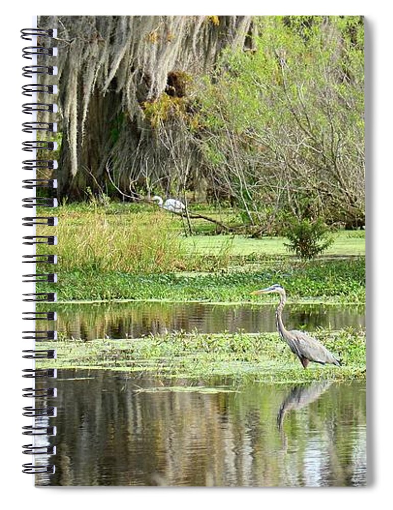 Marsh Spiral Notebook featuring the photograph Wading Bird Way by Carol Bradley