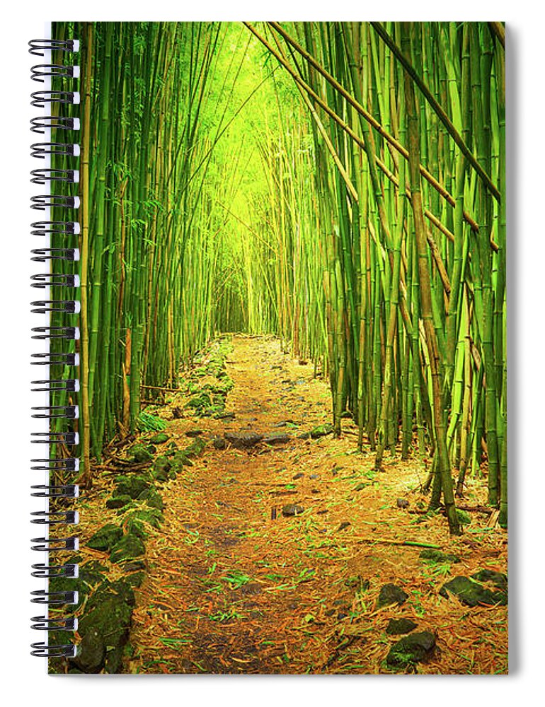 America Spiral Notebook featuring the photograph Waimoku Bamboo Forest by Inge Johnsson