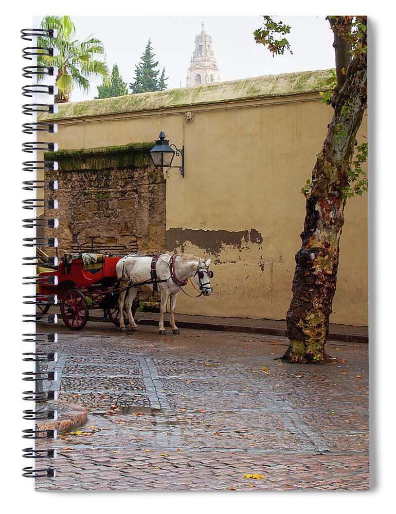 Horse Drawn Carriage Spiral Notebook featuring the photograph Waiting for Riders - Cordoba, Spain by Denise Strahm