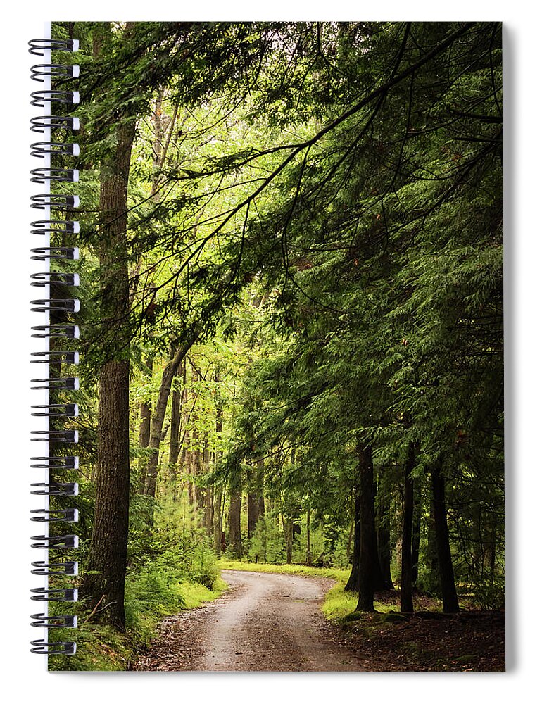 Terry D Photography Spiral Notebook featuring the photograph Walk In The Forest Cooksburg, PA by Terry DeLuco